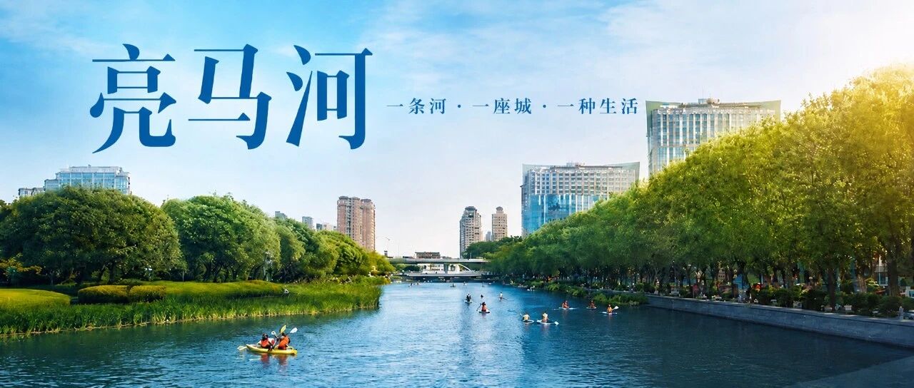 获37项大奖！它为何能让联合国点赞？