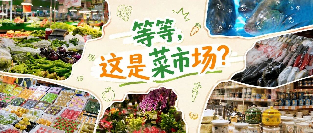 朝阳的隐藏副本，居然藏在这里？🥕🥒🥬🥦🥔